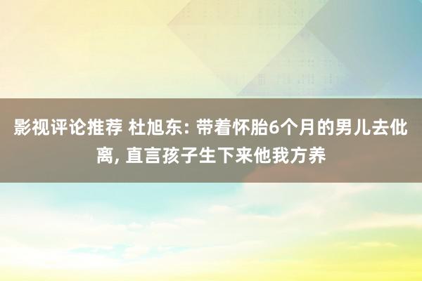 影视评论推荐 杜旭东: 带着怀胎6个月的男儿去仳离, 直言孩子生下来他我方养