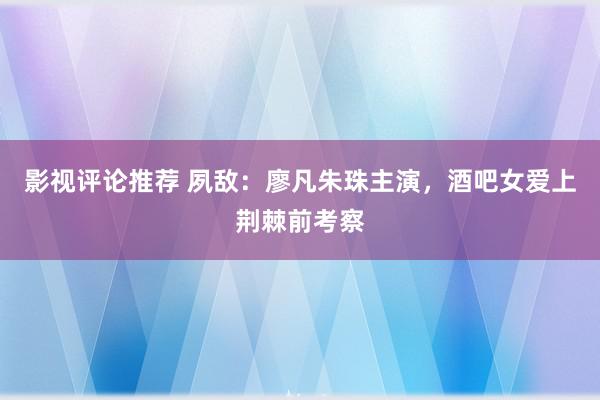 影视评论推荐 夙敌：廖凡朱珠主演，酒吧女爱上荆棘前考察