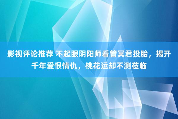 影视评论推荐 不起眼阴阳师看管冥君投胎，揭开千年爱恨情仇，桃花运却不测莅临