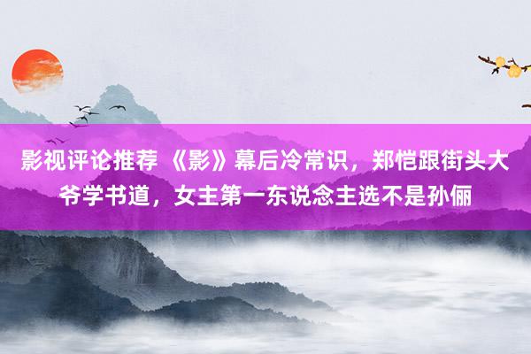 影视评论推荐 《影》幕后冷常识，郑恺跟街头大爷学书道，女主第一东说念主选不是孙俪