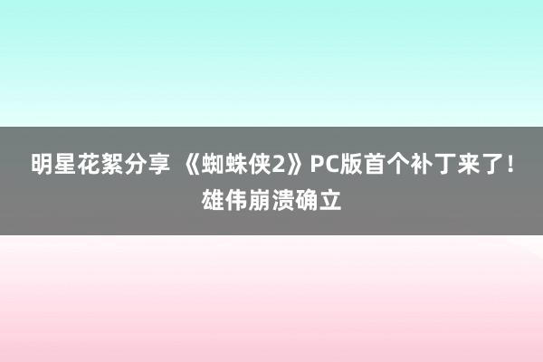 明星花絮分享 《蜘蛛侠2》PC版首个补丁来了！雄伟崩溃确立